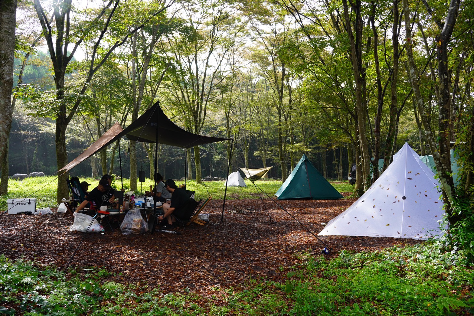 林間KOUYOUサイト 日中