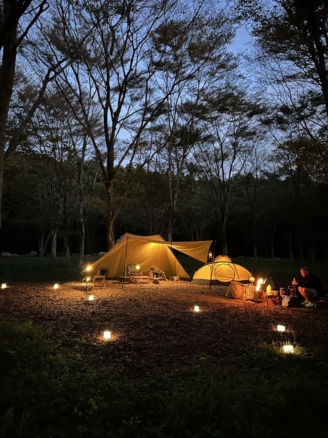 林間KOUYOUサイト 夜